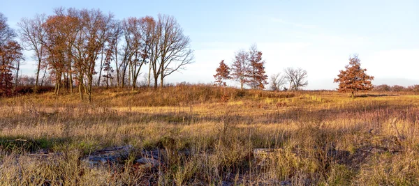 Laat in de middag op de midwest prairie in november — Stockfoto