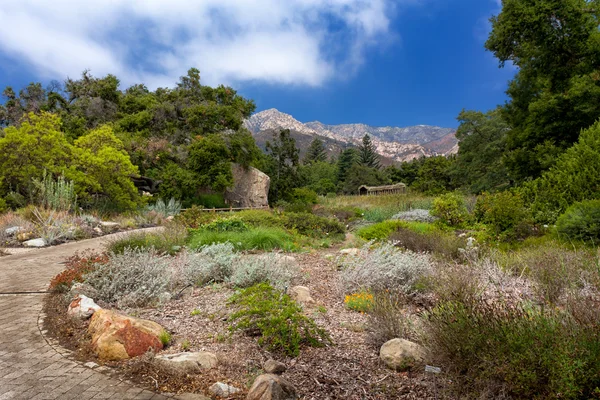 Botanischer Garten Santa Barbara — Stockfoto