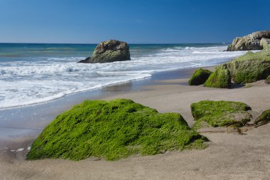 Moss Covered Rocks at Leo Carillo State Beach clipart