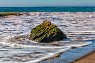 Moss Covered Rock at Leo Carillo State Beach clipart