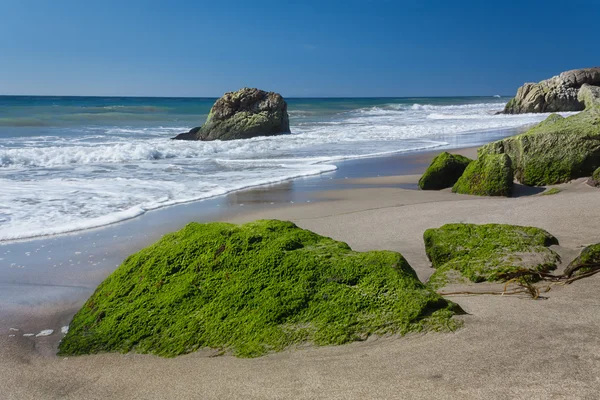 Moss omfattas klippor på leo carillo state beach — Stockfoto