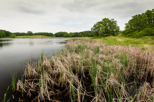 doğal sulak sibley state Park, minnesota