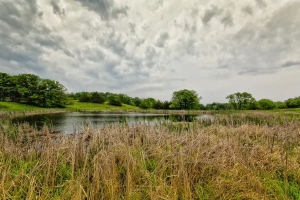 Přirozené mokřady v sibley státní park, minnesota — Stock fotografie