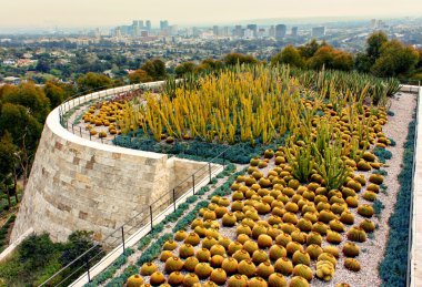 Cactus Garden of The Getty Center with West Los Angeles in Backg clipart