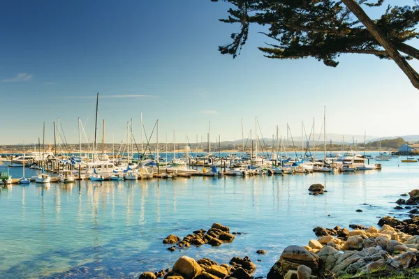 Monterey bay, Kalifornie — Stock fotografie