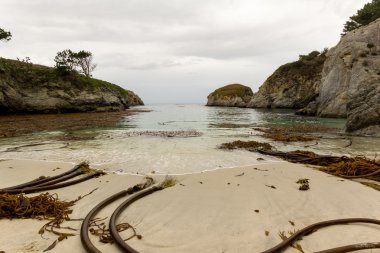 Point Lobos Eyaleti Doğal Rezervi