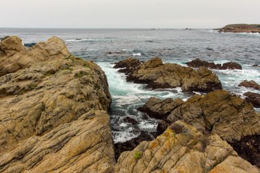 Point Lobos Eyaleti Doğal Rezervi