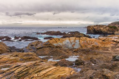 Point Lobos Eyaleti Doğal Rezervi