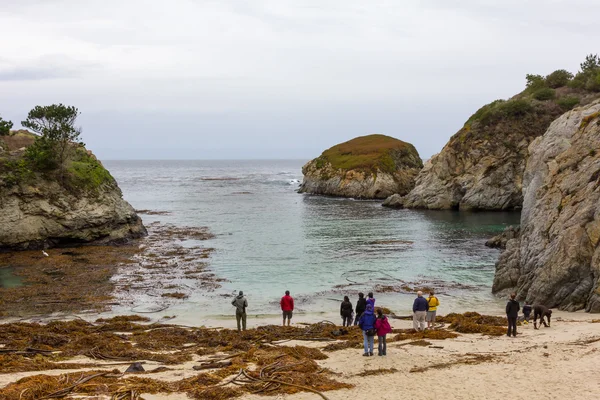 Point Lobos State Natural Reserve — Stock Photo, Image