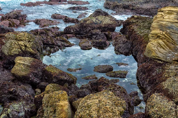 Reserva Natural Estadual de Point Lobos — Fotografia de Stock