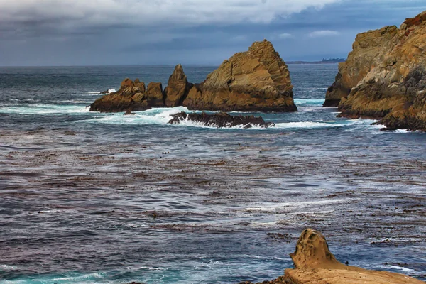 Punto Lobos Stato Riserva Naturale — Foto Stock