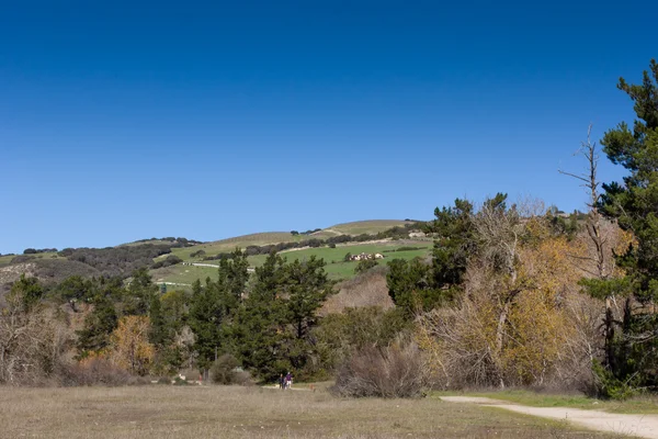 Гирлянда ранчо регіонального парку з видом на пагорби — стокове фото