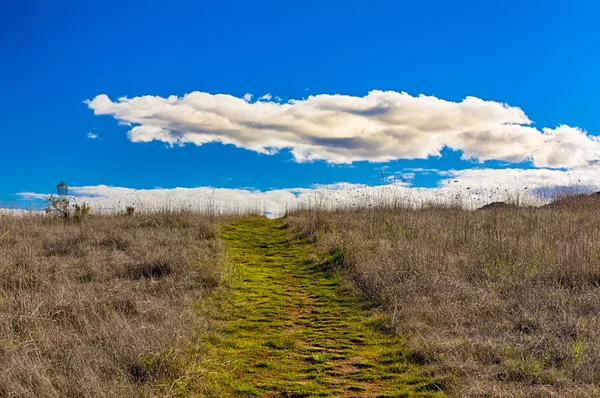 白いふくらんでいる雲と地平線につながる緑道 — ストック写真