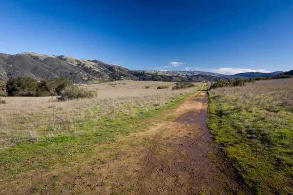 Rain Soaked Path in the Mountains — Stock Photo, Image