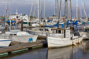 harbor, california açılış moss, tekneler
