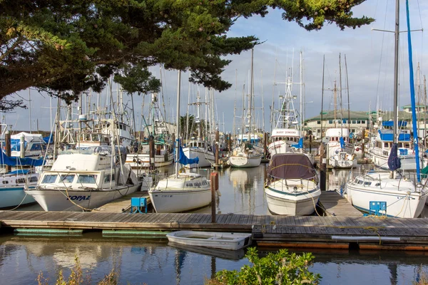 Harbor, california açılış moss, tekneler — Stok fotoğraf