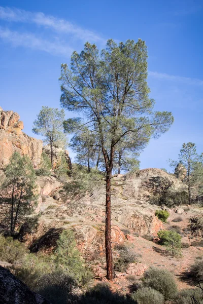 Pinakels nationaal monument in Californië, usa — Stockfoto