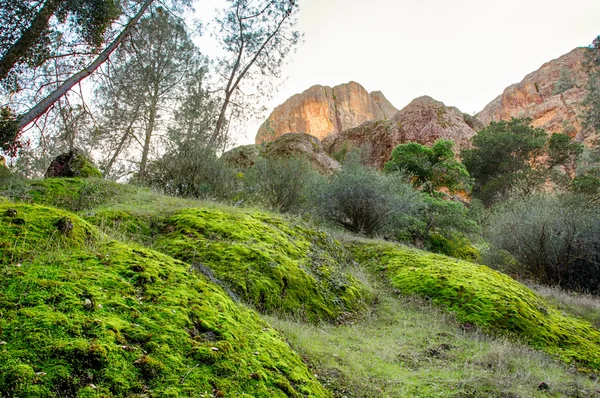 Monumento Nacional Pinnacles na Califórnia, EUA — Fotografia de Stock