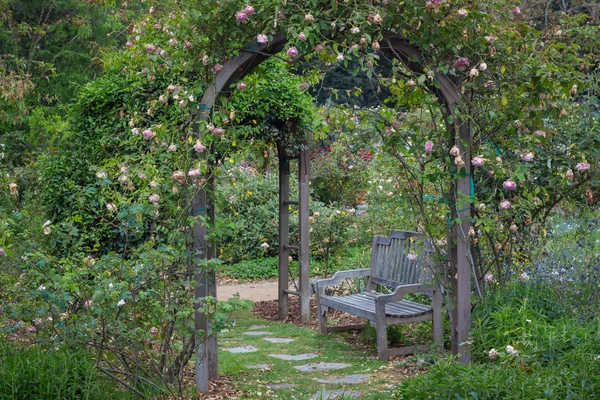 Engelsk trädgård efter regn — Stockfoto