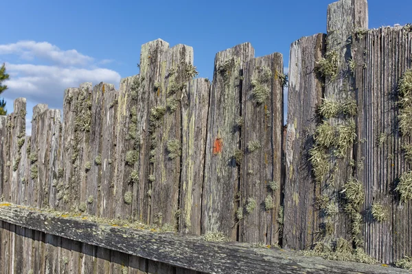 苔藓覆盖的寨子栅栏背景 — 图库照片