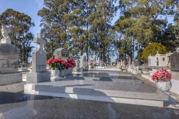 Lignes de marqueurs de sépulture au cimetière San Carlos — Photo