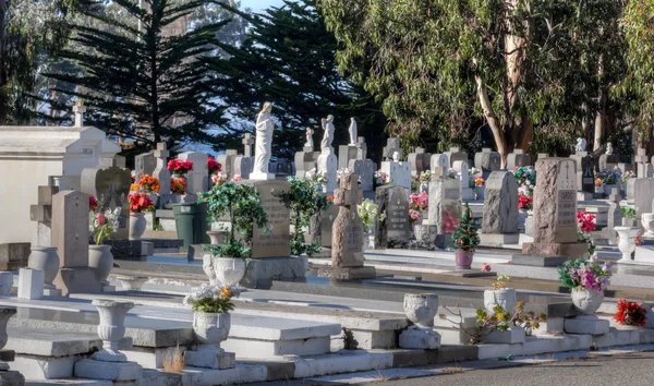 Lijnen van ernstige markers op de begraafplaats van san carlos — Stockfoto