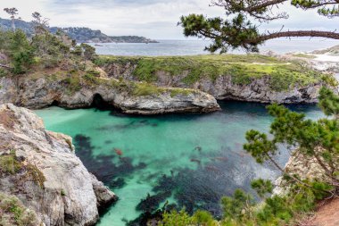 Point Lobos Eyaleti Doğal Rezervi