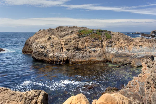 Punto Lobos Stato Riserva Naturale — Foto Stock