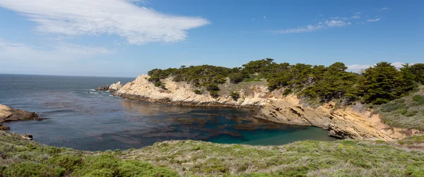 Réserve naturelle de l'État de Point Lobos — Photo
