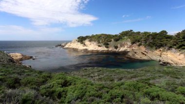 punt lobos staat strand