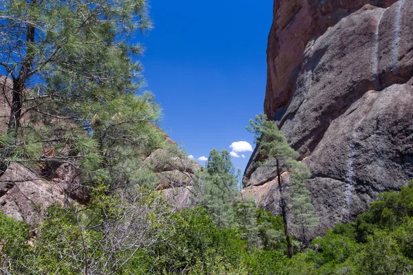 Вражаючі скельними утвореннями Pinnacles в Національний парк — стокове фото