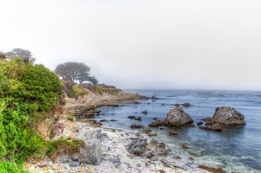 tarihi monterey liman ve marina