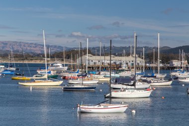 tarihi monterey liman ve marina