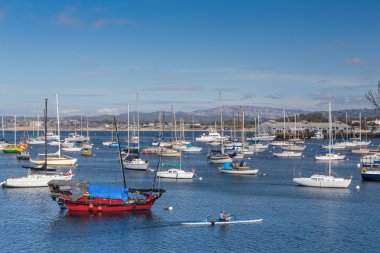 Monterey liman ve marina
