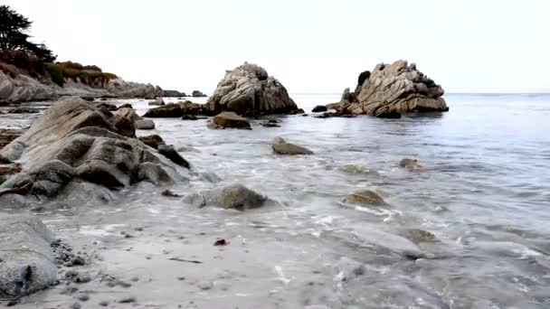 Vand kommer i land ved Pacific Grove, Californien – Stock-video