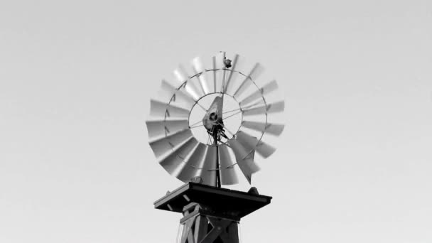 Zapnutí větrný mlýn v černé a bílé — Stock video