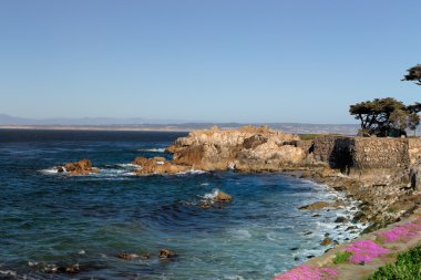 pacific Grove, Kaliforniya lover's noktası.