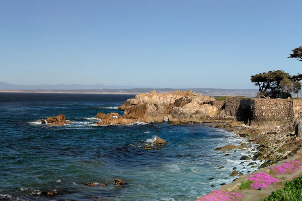 Lover 's Point at Pacific Grove, California . — стоковое фото