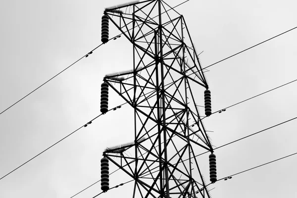 Högspänning elektriska ledningar — Stockfoto