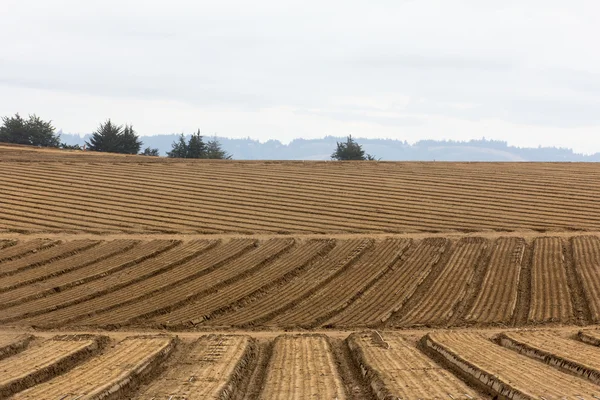 Obhospodařované zemědělské půdy — Stock fotografie