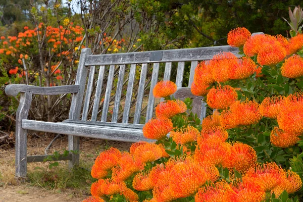 Outdoor Bench — Stock Photo, Image