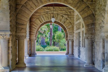 Stanford avlu