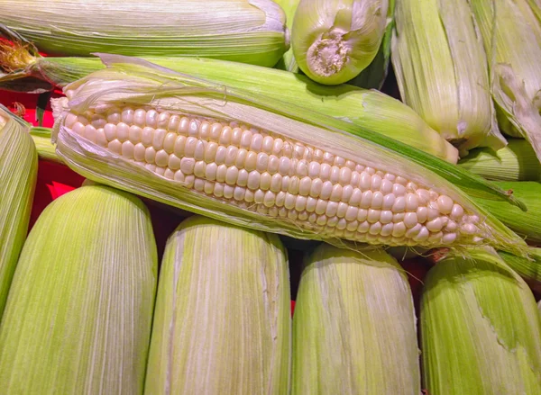 Uszy kukurydza — Zdjęcie stockowe