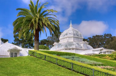 san francisco Konservatuarı çiçek