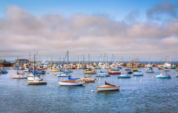 Monterey Körfezi, Kaliforniya. — Stok fotoğraf