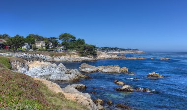 Pacific grove görünümü