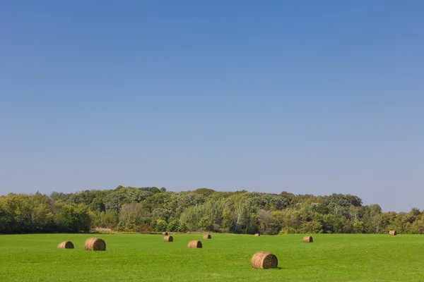 Gröna betesmarker med höstackar — Stockfoto