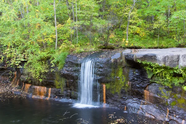 Вовк Creek Falls — стокове фото