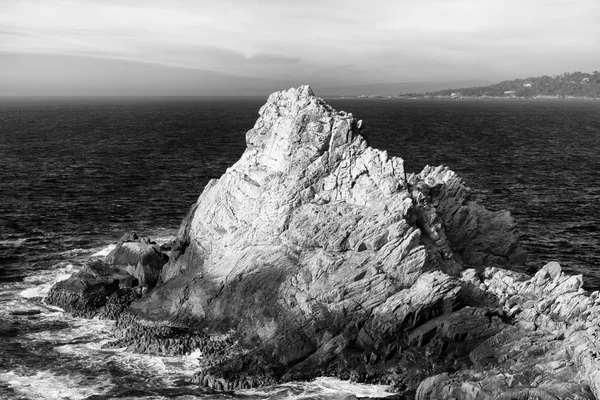 Marinmålning av point lobos i svart och vitt — Stockfoto