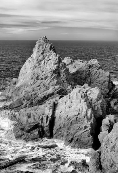 Seascape of Point Lobos in Black and White Stock Image